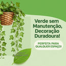 Trepadeira Artificial 2x2M com Vaso