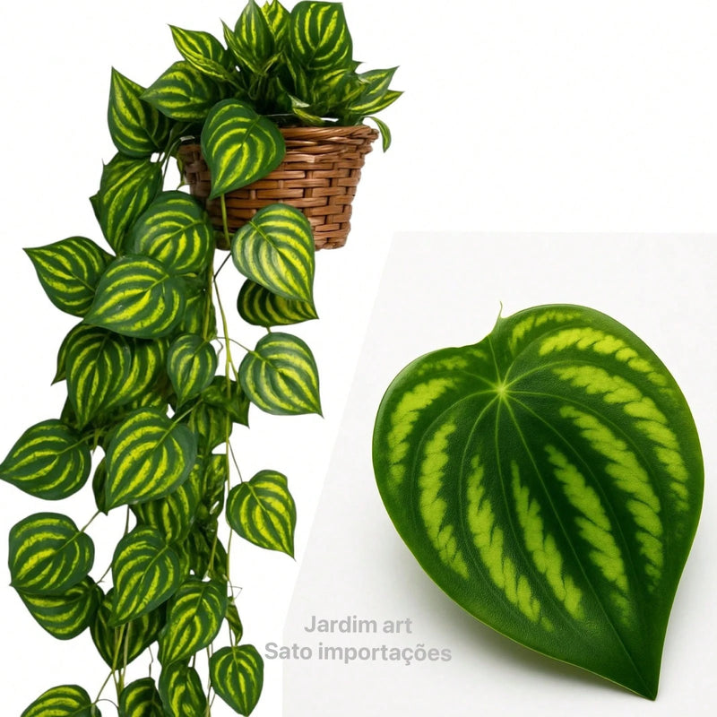 Trepadeira Artificial 2x2M com Vaso